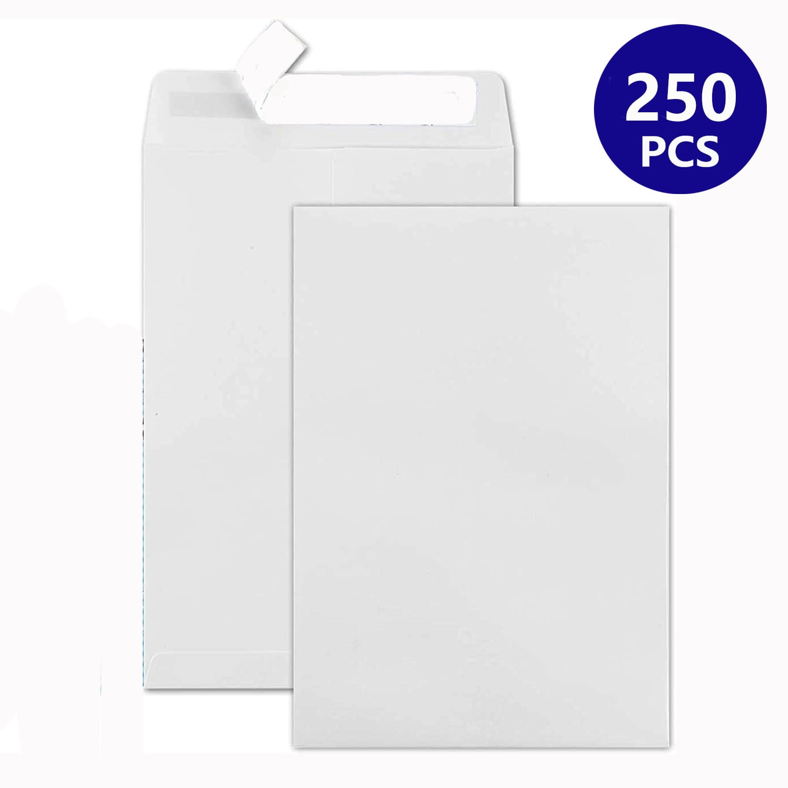 BagDream 250 PCS 6x9 inches Security Catalog Envelopes Printable Self