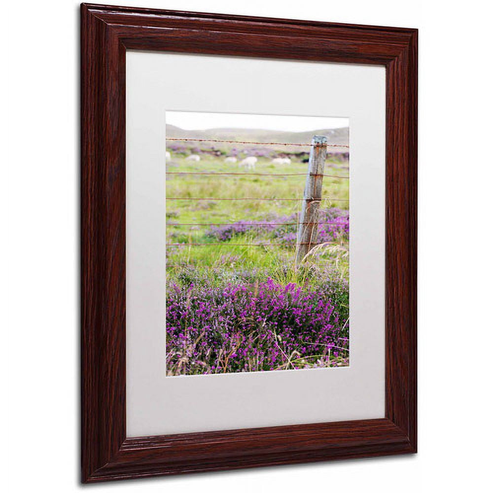 Trademark Fine Art "Symbol" Canvas Art by Philippe Sainte-Laudy, Black Matte, Wood Frame