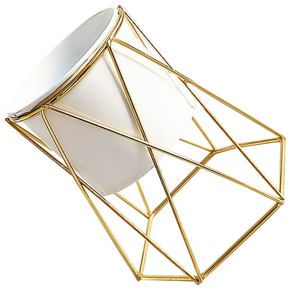Zehuanyu  Plant Stand with Pot Gold Planter Nordic Style Flower Modern Decoration Office