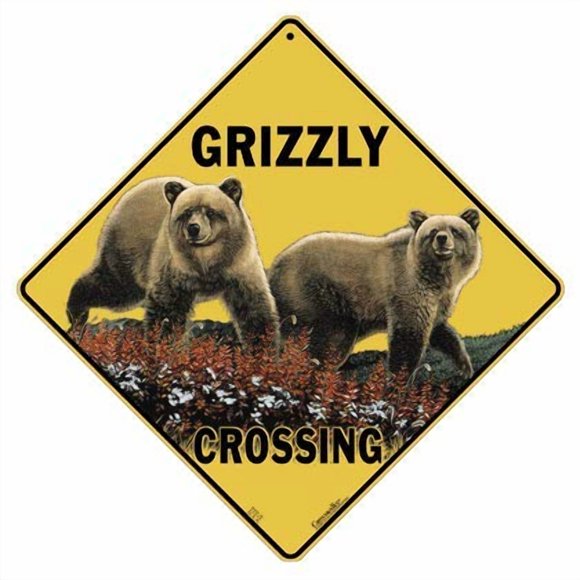 CROSSWALKS Panneau en Aluminium Grizzly Crossing 12 Pouces X 12 Pouces (X421-DC)
