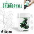 thumbnail image 3 of BENEMAX Concentré de Chlorophylle Liquide en Bouteille Compressible de 30 ml, 3 of 6