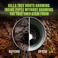 thumbnail image 3 of Green Gobbler, FOAMING Root Killer | Kills Tree Roots in Pipes & Sewer Lines Contains No Copper Sulfate Safe for and Septic - 2 USES, 4 LBS, 3 of 6