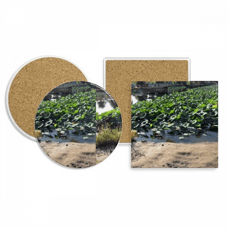 

Summer Lotus Lake Coaster Cup Mug Holder Absorbent Stone Cork Base Set