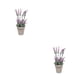 thumbnail image 2 of Advancent Belleza botánica con arreglo de flores artificiales Purificador de aire Arreglo Artificial Greener Artificial Bonsai Type2 NO2, 2 of 6