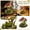 Frog, variant on LIERTOUR Resin Turtle Statue LED Lamp Home Desktop Decoration Light Ornament for Home Office Desktop and Studio Table Decoration Accent Light Atmosphere Solution Gear