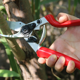 thumbnail image 5 of Tijeras de podar - Tijeras de jardín podadoras de derivación, podadoras de árboles Tijeras de podar manuales Herramienta de jardinería ergonómica, 5 of 5