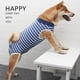 thumbnail image 5 of Traje de recuperación para perros, chaleco para enfermedades de la piel para cachorros, protector de heridas abdominales, ropa para mascotas después de la cirugía, alternativa de cuello electrónico pa Feliz Sencillez, 5 of 5
