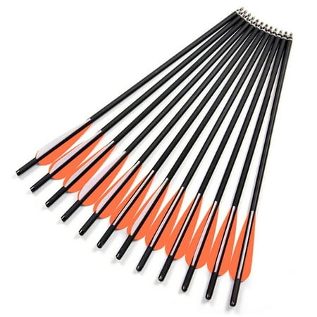 20 Inch Hunting Archery Arrows with 4 Vanes Replaced Arrowhead Tip