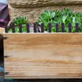 thumbnail image 2 of MasteelfCA 10PCS Miniature Fairy Garden Fence Dollhouse Mini Fence Plant Pot Border Fence, 2 of 8