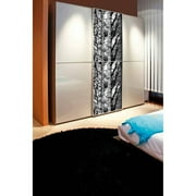 DC Fix Birch Wood Adhesive Film Self Adhesive Vinyl Wall Decal, 78.74-in by 17.7-in