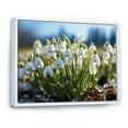 thumbnail image 2 of Designart "White Green Snowdrops landscape III" Floral Floater Framed Wall Decor, 2 of 7