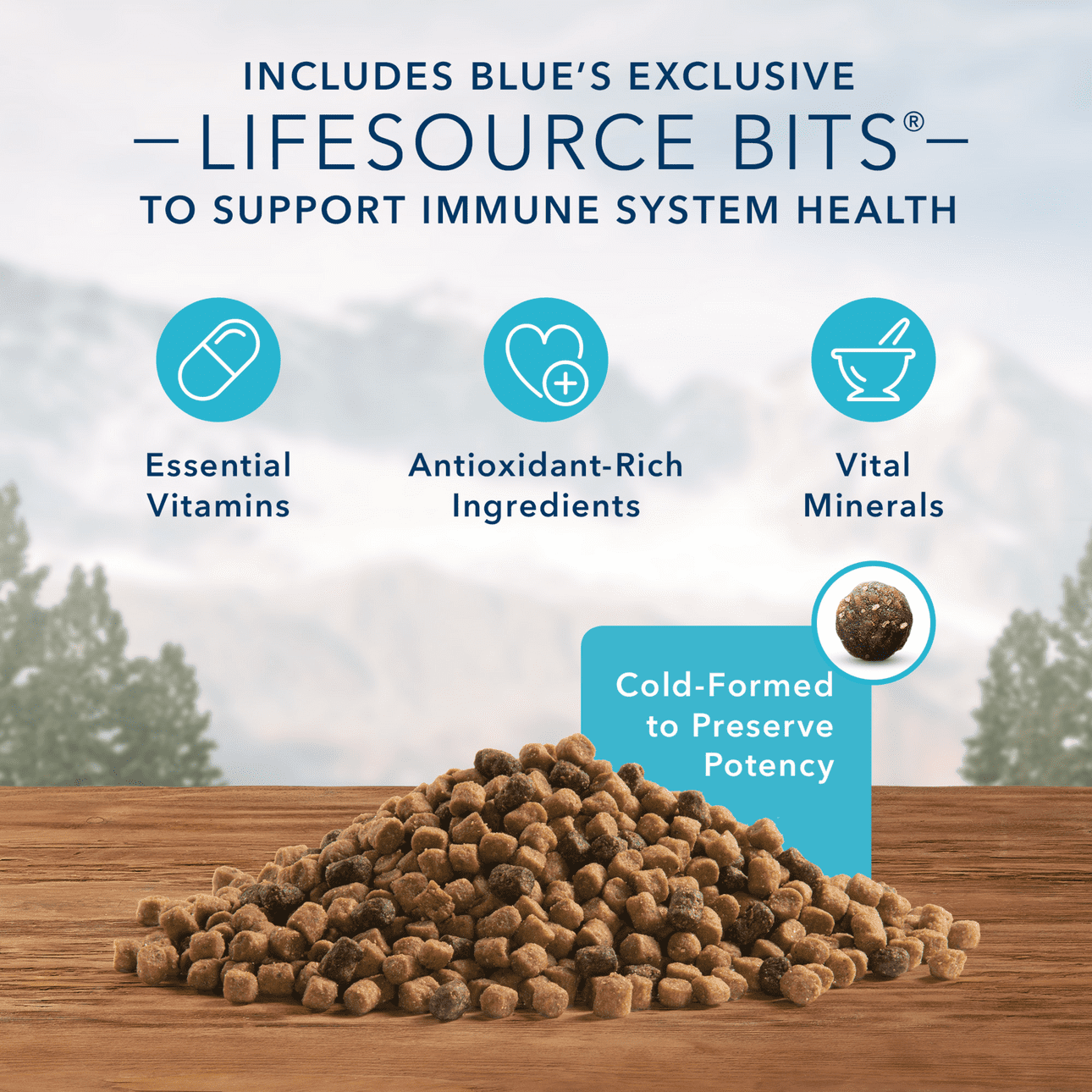 Blue Buffalo Wilderness High Protein Chicken Dry Cat Food for
