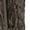 Mossy Oak® Bottomland®, variant on Ava 3.0 Pant