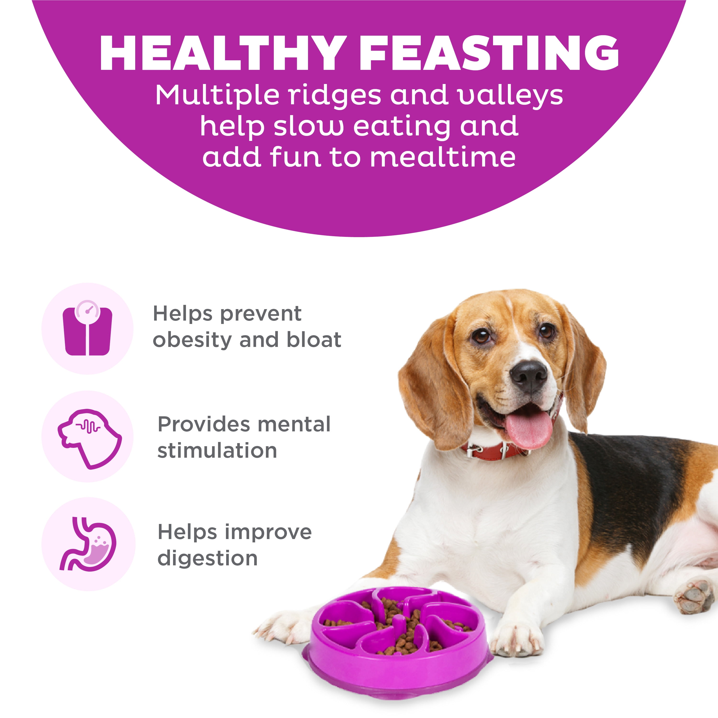 (2 pack) Outward Hound Fun Feeder Slo Bowl – Medium 2‑Cup Capacity, Slow Feeding, Small to Medium Dogs & Cats, Non-Slip, Purple, Flower Pattern