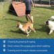 thumbnail image 4 of Methold Juguete divertido para mascotas, poste interactivo portátil para practicar deportes, juguetes extensibles, cuerda de ejercicio para jardín al Suministros para perros Methold PT004191-00, 4 of 6