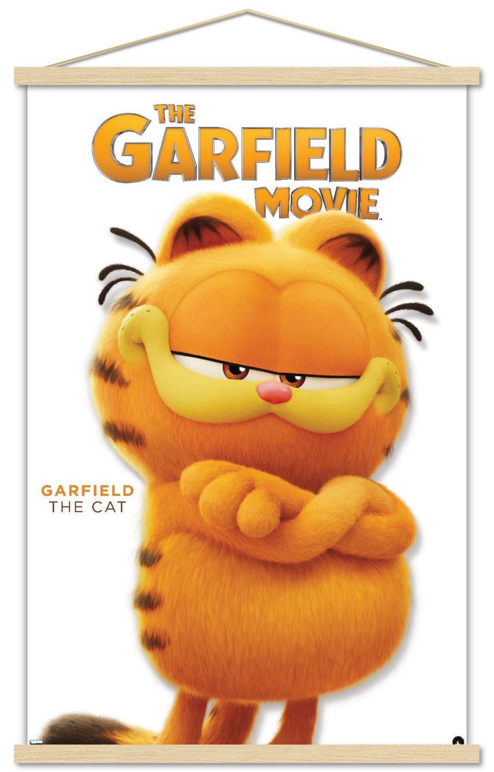 Le film Garfield