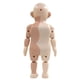 thumbnail image 3 of Juguete De Anatomía Del Cuerpo Humano, 9.4in Modelo De Cuerpo Humano Human Eco Amigable Para La Escuela, 3 of 8