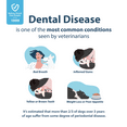 thumbnail image 6 of Dental Fresh Original Dental Spray for Dogs & Cats, 4 oz – Freshens Breath, Supports Oral Health, 6 of 8