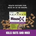 thumbnail image 3 of MouseX Mouse Killer Pellets, Non Toxic Formula Safe for People, Pets and Wildlife, 3 of 10