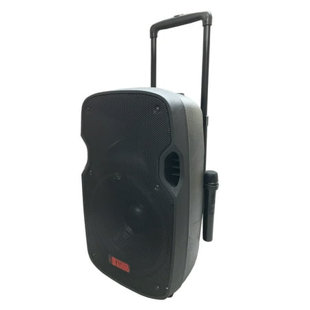 Battery Powered Portable PA System with 2 Wireless Microphones - 12