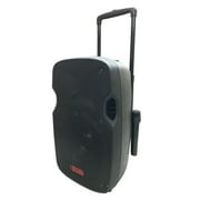 Adkins Pro Battery Powered Portable PA System with 2 Wireless Microphones - 12" 2-Way Speaker