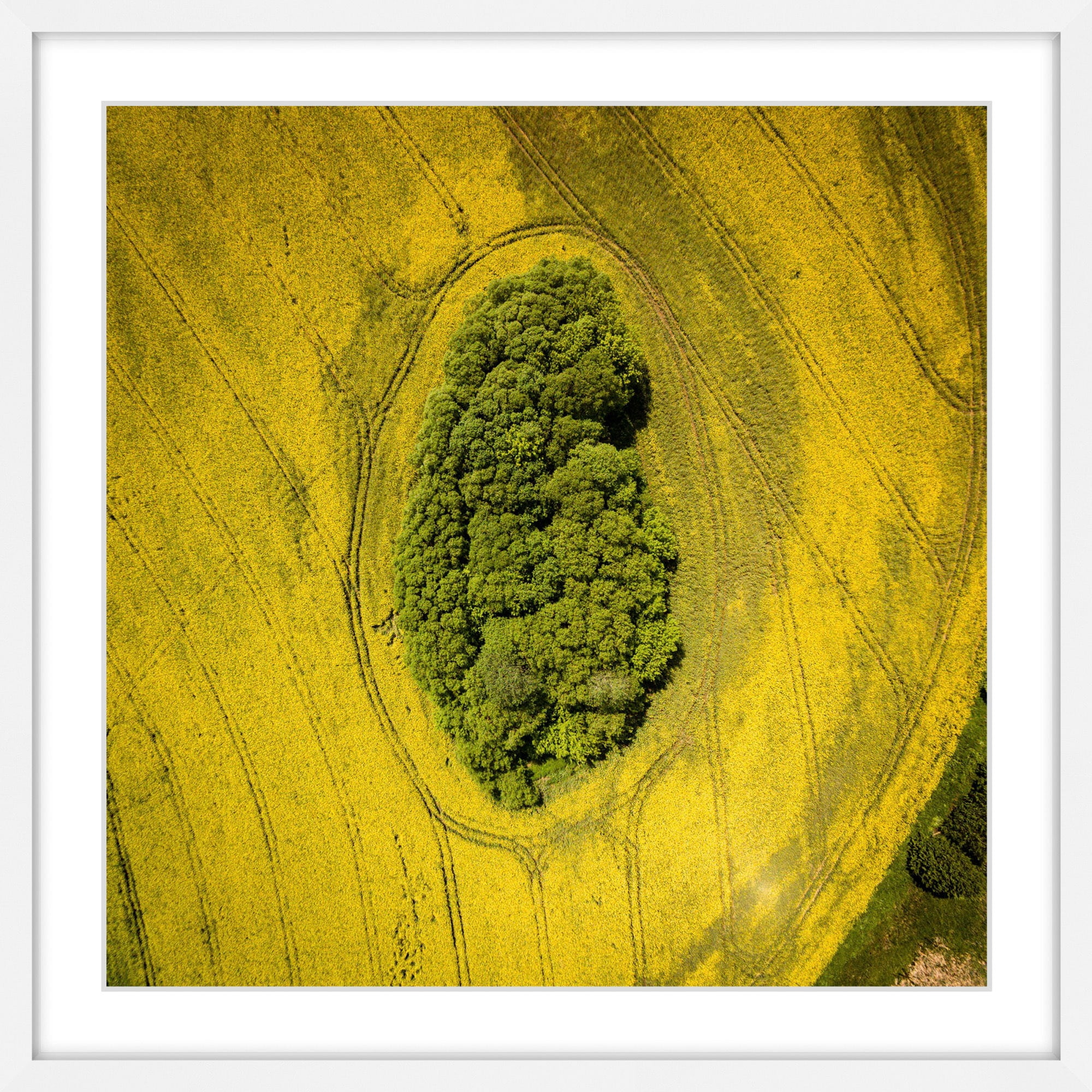Marmont Hill "Plow Tracks" by Karolis Janulis Framed Painting Print