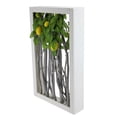 thumbnail image 2 of Northlight 18.5" White Birch Branch Lemon Tree Rustic Wooden Frame Decoration, 2 of 3
