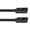 30cm, variant on Whaledi 80Gbps Bidirectional USB C Cable 240W Power Delivery Double 16K 60Hz Monitor
