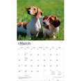 thumbnail image 3 of For the Love of Dachshunds | 2027 14x24" (Hanging) Wall Calendar | Plastic-Free, 3 of 9