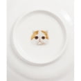 thumbnail image 3 of Pet Portrait White Porcelain All Purpose Bowl - I Love Exotic Shorthairs, 3 of 5
