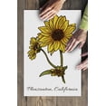 thumbnail image 3 of Pleasanton, California, Prairie Sunflower (19x27 inches, Premium 500 Piece Jigsaw Puzzle for Adults and Family, Made in USA), 3 of 4