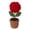 Red Rose, variant on Siruishop Hand Knitted Flower Mini Potted Handmade Kintting Flower for Valentine's Day Pink Tulips