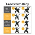 Safety 1st Grow and Go Sprint Modular Travel System Stroller with Rear