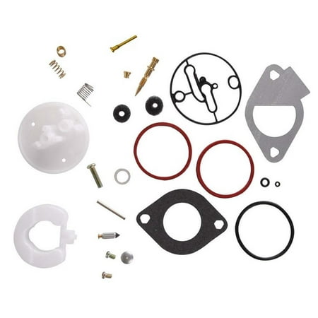 Carburetor Rebuild Kit for Briggs & Stratton Master Overhaul Carbs (Best Carb For Shovelhead)