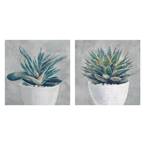 Masterpiece Art Gallery Potted Succulent I, II By Studio Arts Canvas Art Print Set Of 2 (12" x 12")