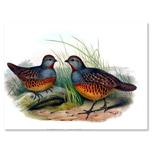 Ancient Birds In The Wild VII 12 in x 8 in Painting Canvas Art Print, by Designart