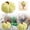 A, variante sur BJUTIR Coussins en Soie pour Cheveux et Peau Housse de Coussin Six Couleurs de Citrouille Coussin en Peluche en Forme de Citrouille Décoration d'Automne Coussin en Forme de Citrouille Mignon 35 cm