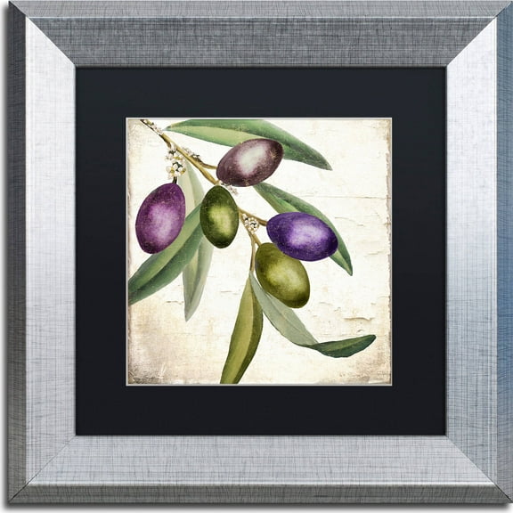 Trademark Fine Art "Olive Branch I" Canvas Art by Color Bakery, Black Matte, Silver Frame