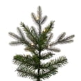 thumbnail image 2 of Vickerman 7.5' x 44" Douglas Fir Artificial Slim Christmas Tree with Warm White LED Lights., 2 of 6