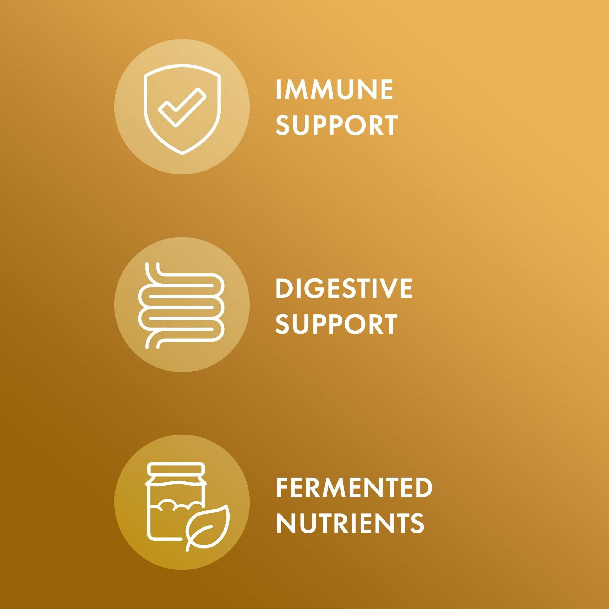 Dr. Mercola Fermented Ginger with Benegut - Supports Digestive & Gut Health - Aids Occasional Gas, Bloating & Discomfort - Non-GMO, Gluten-Free & Soy-Free - 60 Capsules (60 Servings)