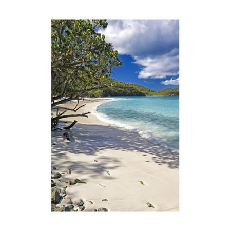 Trunk Bay Seclusion, US Virgin Islands Print Wall Art By George