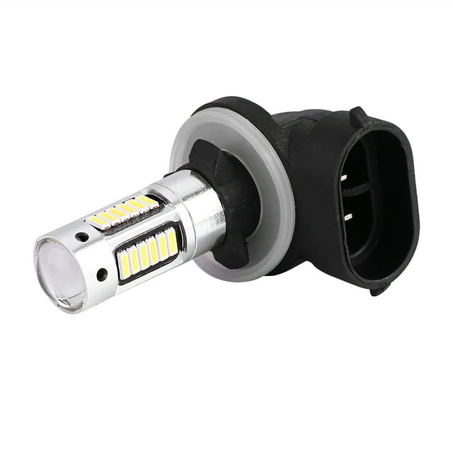 Loewten 881 Bulbe, Cadeau Parfait pour l'Activité