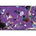 thumbnail image 4 of Beginner's Microscope Slide Set, 4 of 4