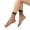 Coffee, variant on FUNUONY Sheer Socks Low Cut Nylon Socks for Women Thin Ankle Stocking Transparent Silk Dress Socks 6 Pairs Sheer Ankle Sock Lady Nylon Socks for Women Ankle High Sock Sheer Stocking Black