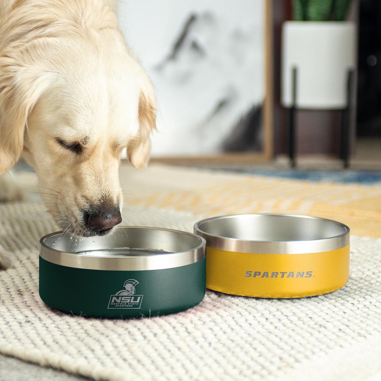 HBCU 2 pk. Stainless Steel Dog Bowls - Samsclub.com