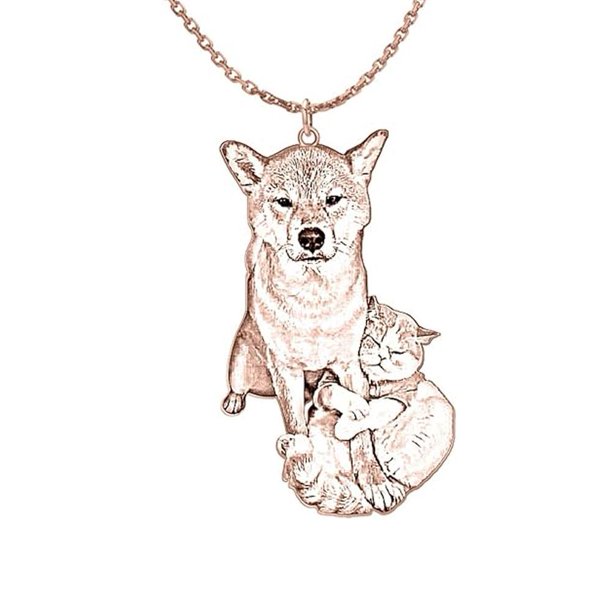 EZLIFE Collar con foto personalizada, colgante con foto grabada para mascota, gato, perro, regalo V5 P2X1