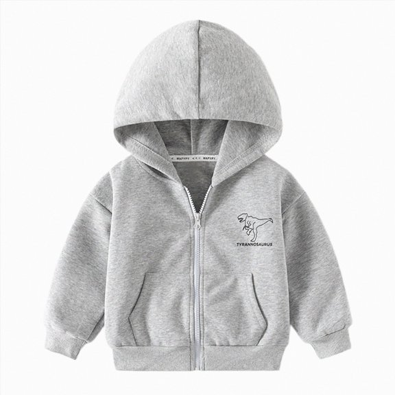 NLOMOCT Baby Boy Jacket Teen Boy Long Sleeve Zip Hooded Tops Soft Fleece Casual Outer Jacket Grey,3-4 Years