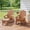 Coffee, variant on Resenkos Lounge Chair Outdoor, Patio Lounge Chair,All-Weather HIPS Patio Adirondack Lounge Chair with Retractable Footrest-Black