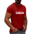 thumbnail image 6 of Mens Big & Tall Short Sleeve T-Shirts Graphic Crewneck Casual Printed Tee Summer Beach Hawaiian Vintage Shirts Size M-4XL Wine, 6 of 7