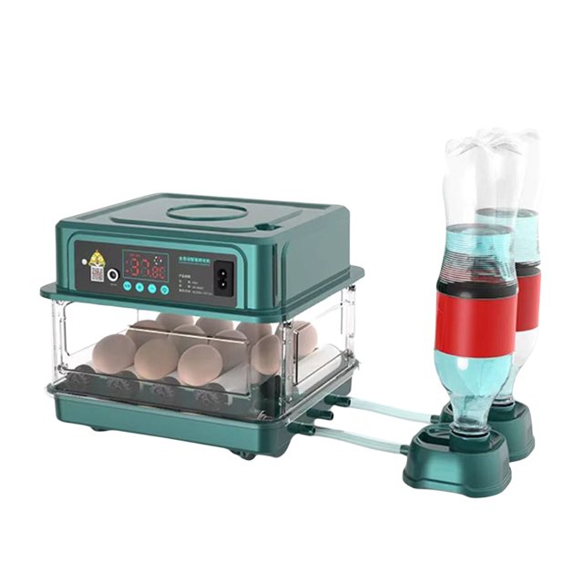 10/15 Incubadora de huevos Control de temperatura de humedad Herramienta de incubación completamente automática
